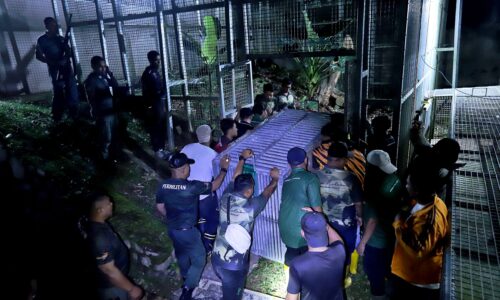 KING KING ‘BELAJAR’ DUDUK DALAM KOTAK SEBELUM PULANG KE ZOO MELAKA