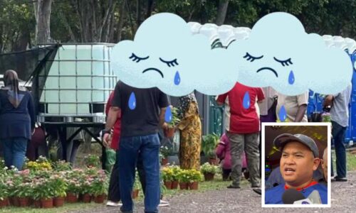 BUKAN CURI, SALAH FAHAM PUNCA POKOK MBJB ‘DIBAWA PULANG’