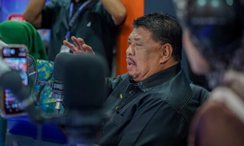KARNIVAL ANAK MUDA MELAKA JADI PENTAS SUARA, BAKAT DAN MASA DEPAN