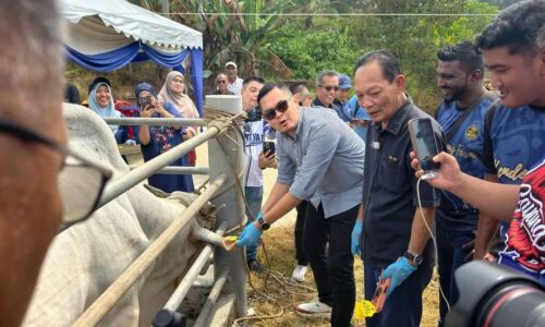 MELAKA SASAR PROSES ‘TAGGING’ LIBATKAN 32,000 TERNAKAN HINGGA HUJUNG TAHUN INI 