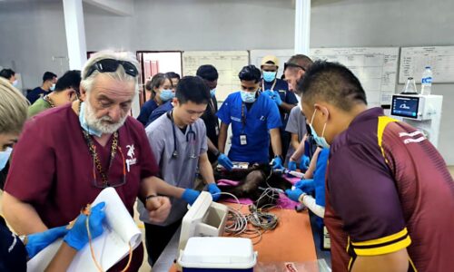 26 DOKTOR VETERINAR TIMBA ILMU RAWAT HIDUPAN LIAR DI ZOO MELAKA