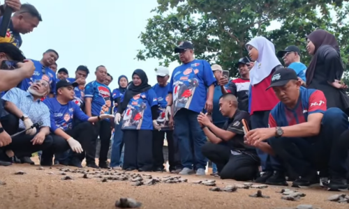 PADANG KEMUNTING IKON PELANCONGAN PENYU TERCANTIK NEGARA