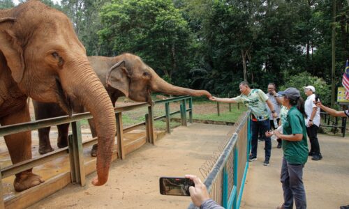 ZOO MELAKA MENUJU HAB KONSERVASI, PENYELIDIKAN HAIWAN BERTARAF DUNIA