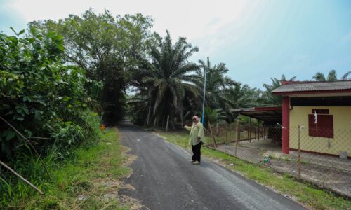 DULU TANAH MERAH, SEKARANG BERTURAP, PENDUDUK TAMAN NYALAS BARU LEBIH SELESA