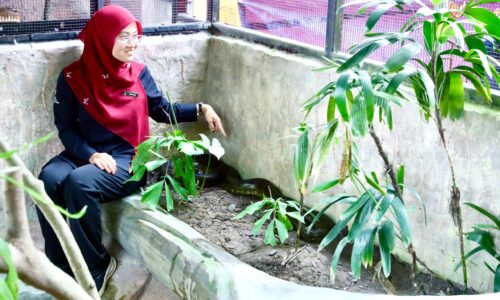 DIANA BELUM MAKAN LEPAS LAHIRKAN 10 ANAK