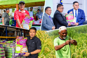 Rice From Field to Community