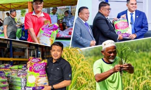 BERAS MELAKA: DARI SAWAH KE MEJA MAKAN RAKYAT