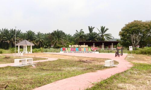 DARI HUTAN RUMBIA JADI DENAI RIADAH